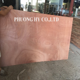 Sell_ Sanding plywood face _ back bintangor glue melamine